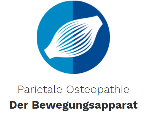 parietale Osteopathie - der Bewegungsapparat